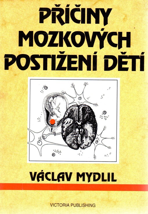 Příčiny mozkových poškození dětí : poškození mozku za vývoje a perinatální rizika