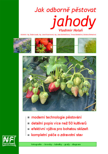 Jak odborně pěstovat jahody