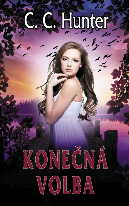 Konečná volba :pátá kniha z cyklu Údolí stínů
