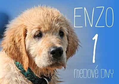 Enzo - Medové dny