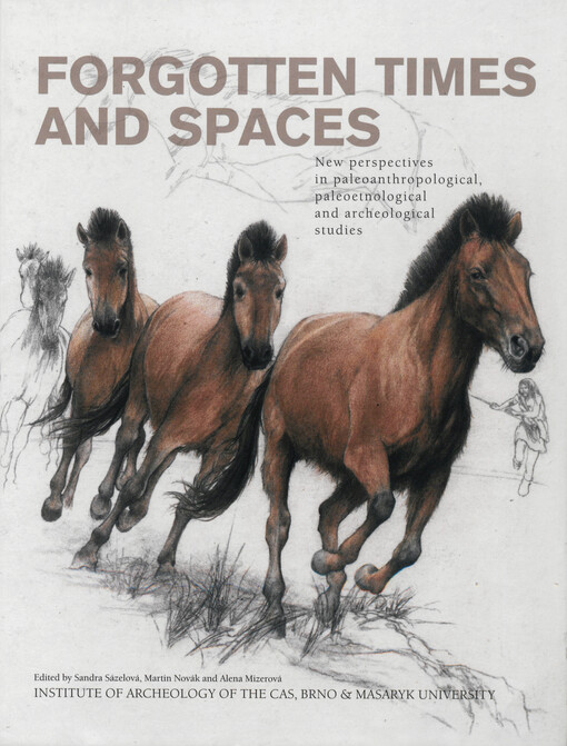 Forgotten times and spaces : new perspectives in paleoanthropological, paleoetnological and archeological studies