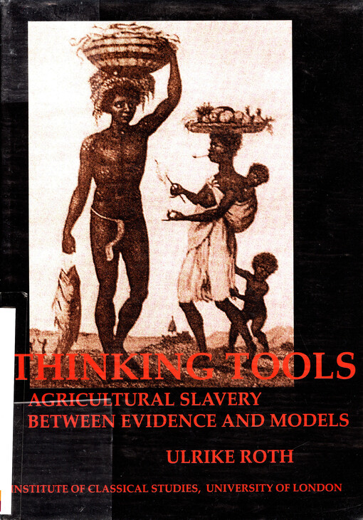 Thinking tools : agricultural slavery between evidence and models