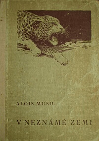 V neznámé zemi :[Příběhy dětí v poušti]