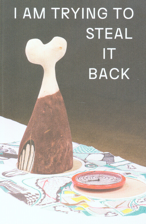 Kateřina Šedá :it's too late in the day : [Künstlerhaus Bremen, 12 March - 8 May 2011