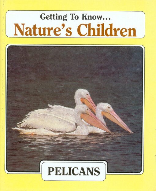 Pelicans