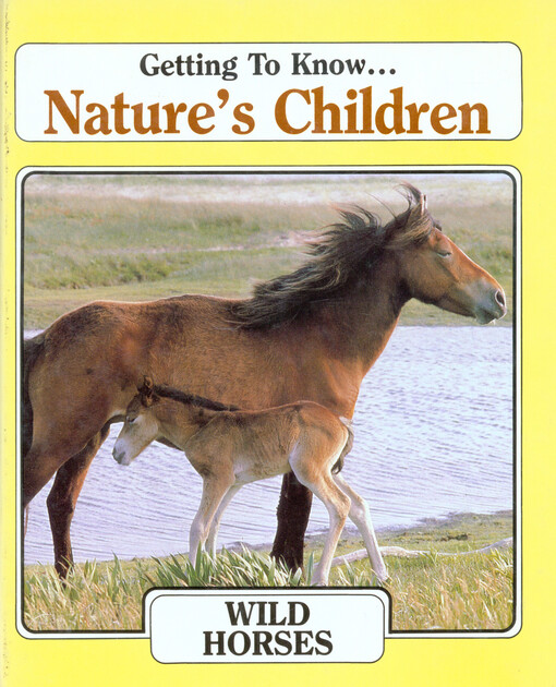 Wild horses