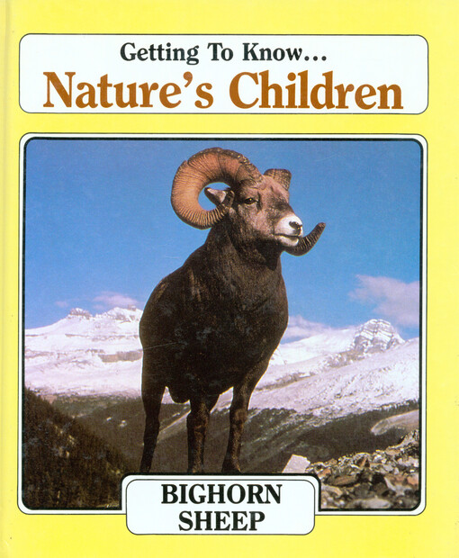 Bighorn sheep