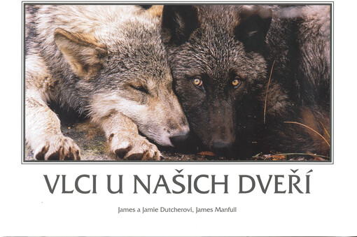 Vlci u našich dveří