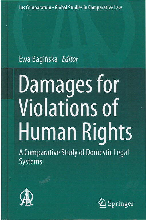 Damages for violations of human rights