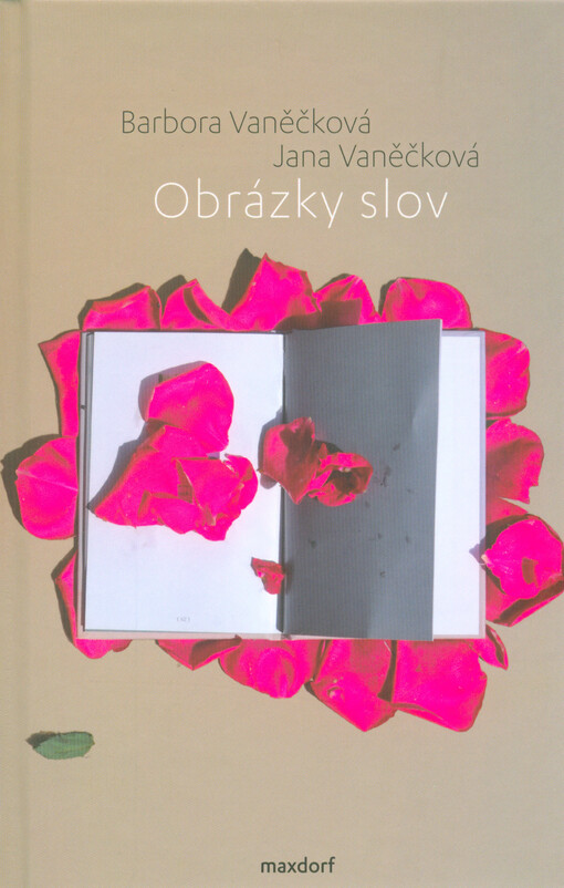 Obrázky slov