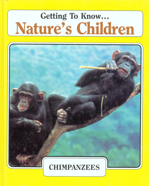Chimpanzees