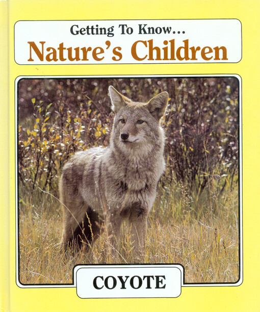 Coyote