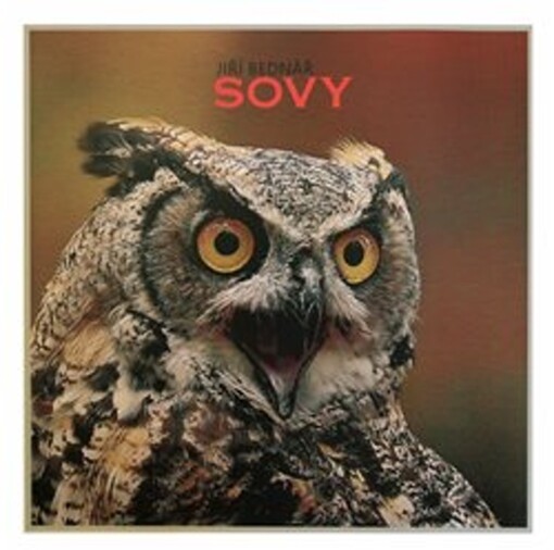 Sovy (fotografie)