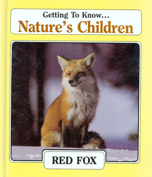 Red fox