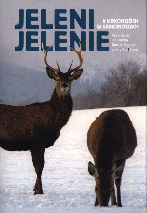 Jeleni v Krkonoších = Jelenie w Karkonoszach