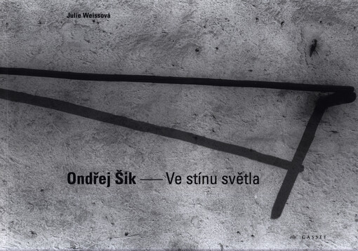 Ve stínu světla
