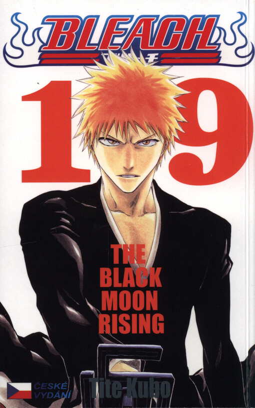 Bleach 19