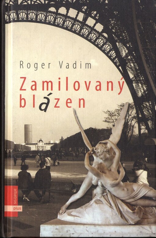 Zamilovaný blázen