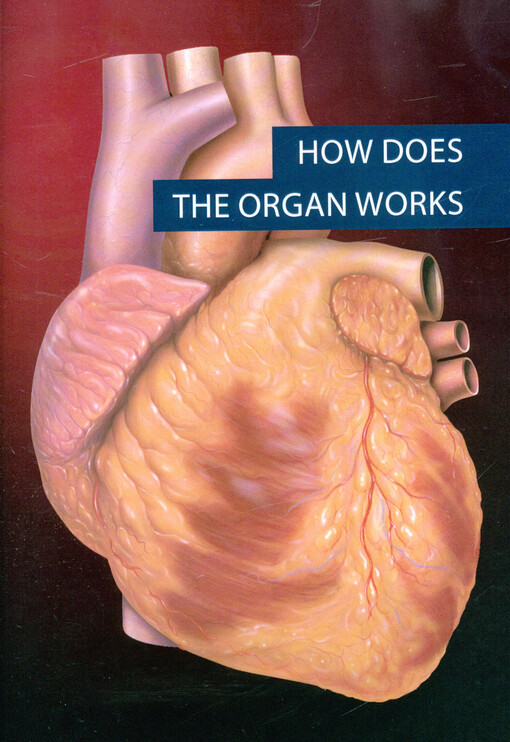 How does the organ work? : Mendelova interaktivní škola genetiky