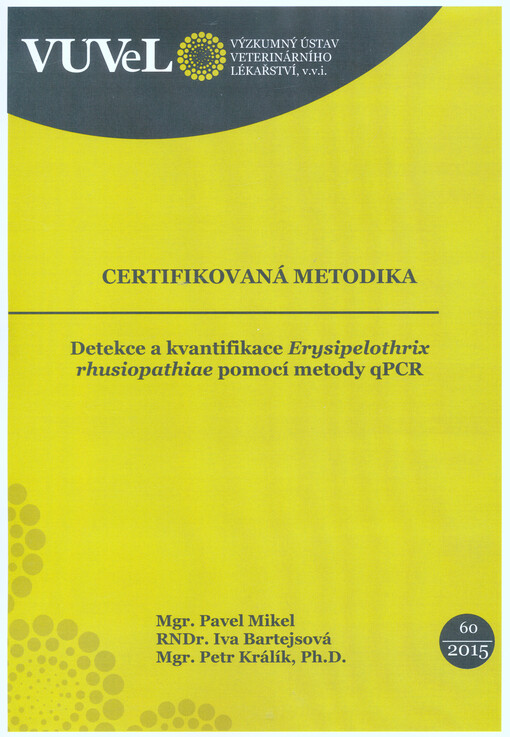 Detekce a kvantifikace Erysipelothrix rhusiopathiae pomocí metody qPCR