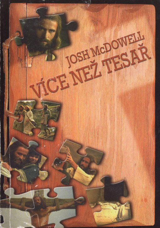 Více než tesař : publikace k projektu Nový život 2000
