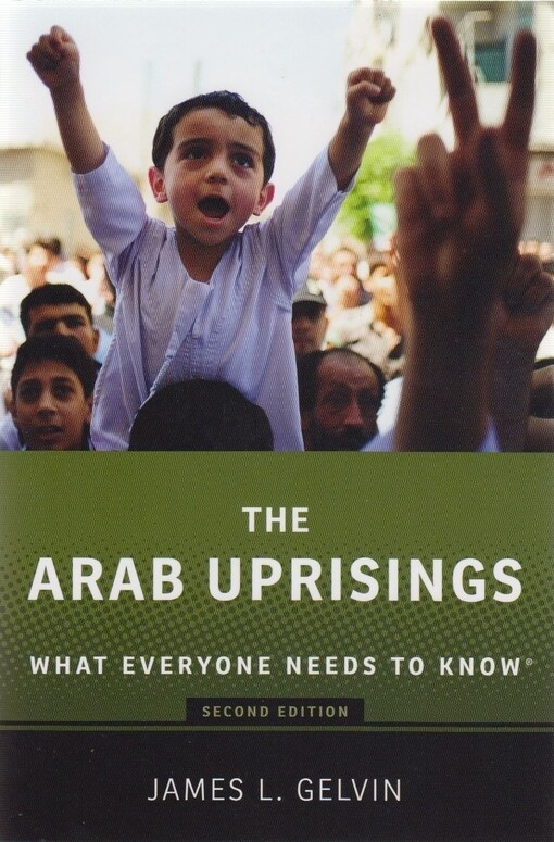 The Arab uprisings