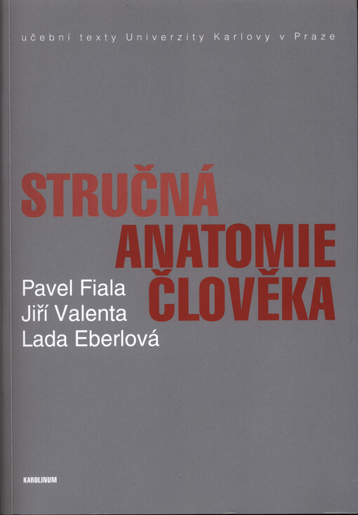 Stručná anatomie člověka
