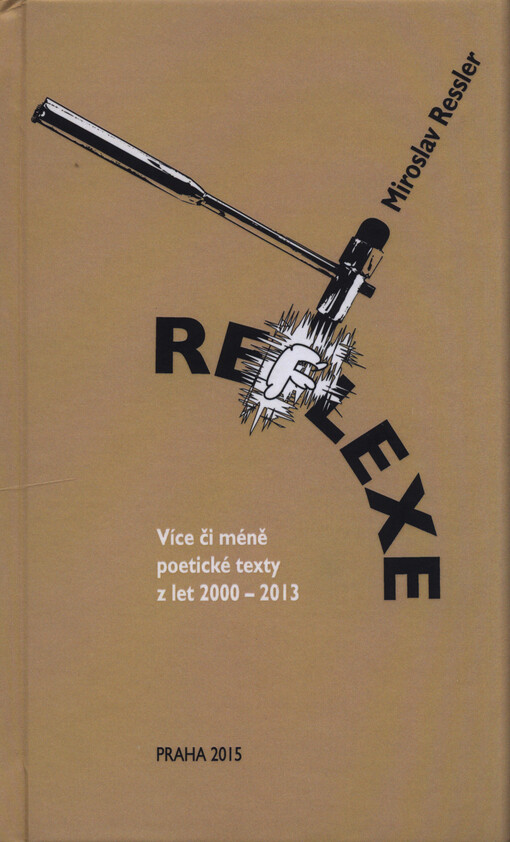 Reflexe : více či méně poetické texty z let 2000-2013