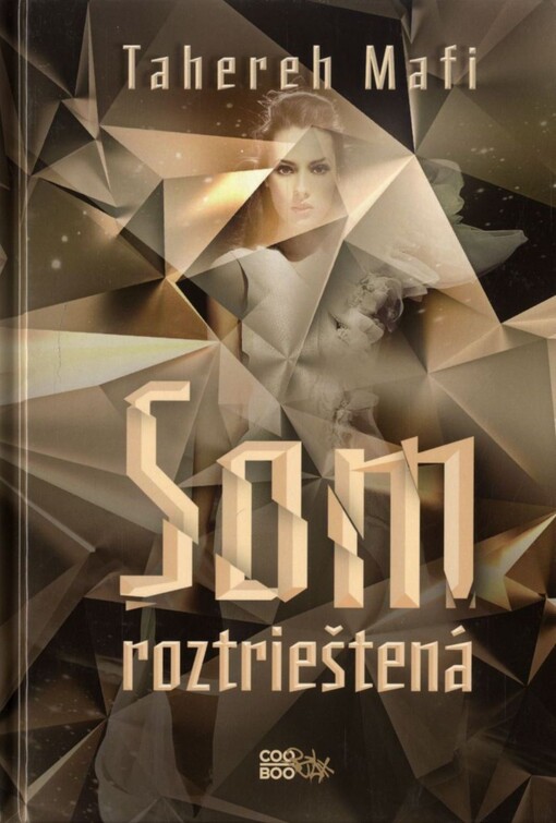 Som roztrieštěná