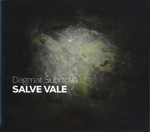 Dagmar Šubrtová : Salve vale : Galerie Města Blanska, 11.1.-6.2.2015