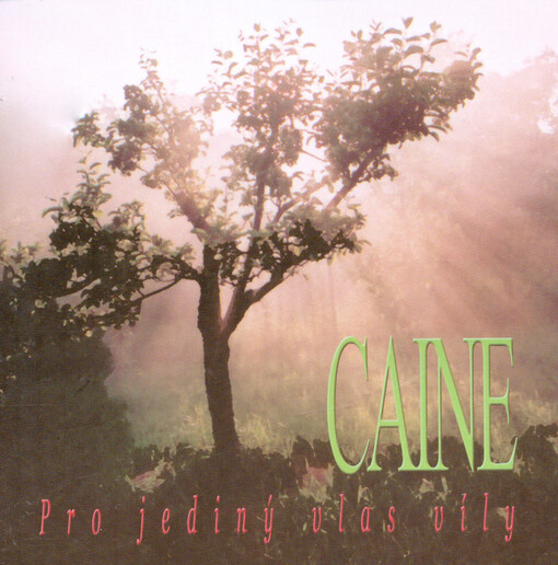 Pro jediný vlas víly