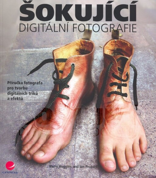 Šokující digitální fotografie : [příručka fotografa pro tvorbu digitálních triků a efektů]