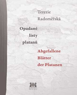 Opadané listy platanů / Abgefallene Blätter der Platanen