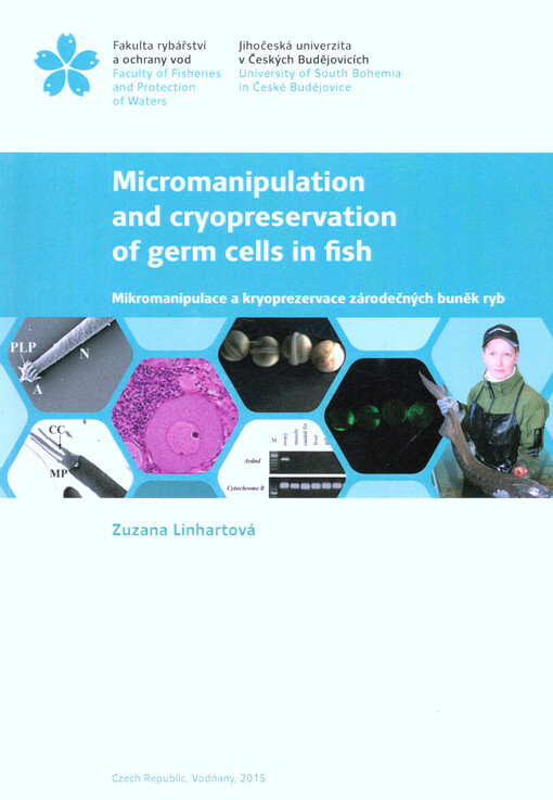 Micromanipulation and cryopreservation of germ cells in fish = Mikromanipulace a kryoprezervace zárodečných buněk ryb