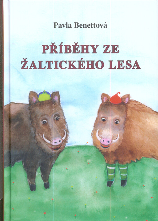 Příběhy ze Žaltického lesa : pohádky pro malé i velké čtenáře