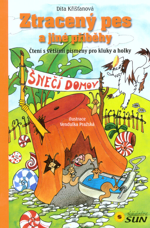 Ztracený pes a jiné příběhy : čtení s velkými písmenky pro kluky a holky