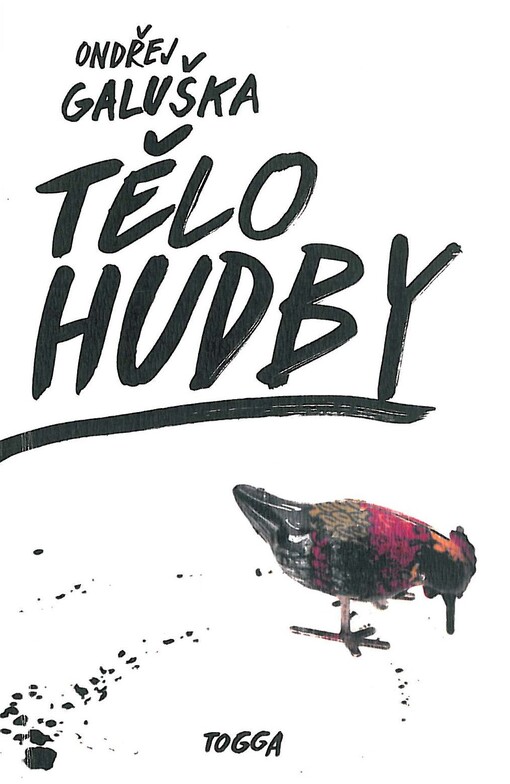 Tělo hudby