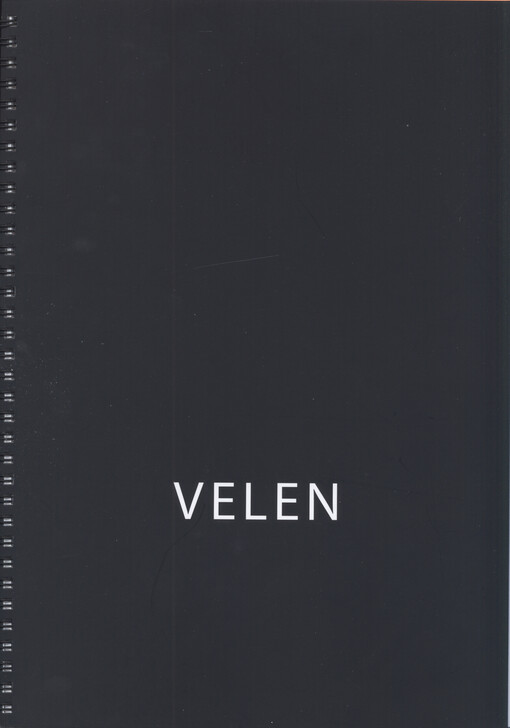 Zdeněk Velen : pouliční fotografie