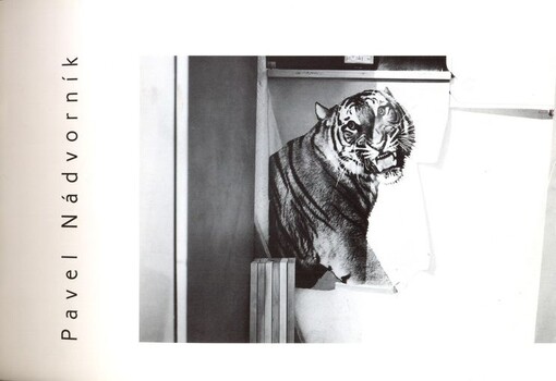 Pavel Nádvorník :[katalog výstavy Brno 6.-30. května 1997