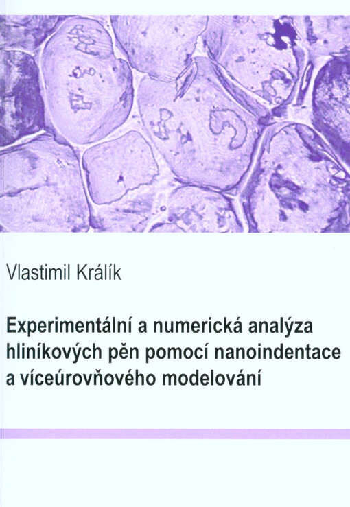 Experimentální a numerická analýza hliníkových pěn pomocí nanoindentace a víceúrovňového modelování