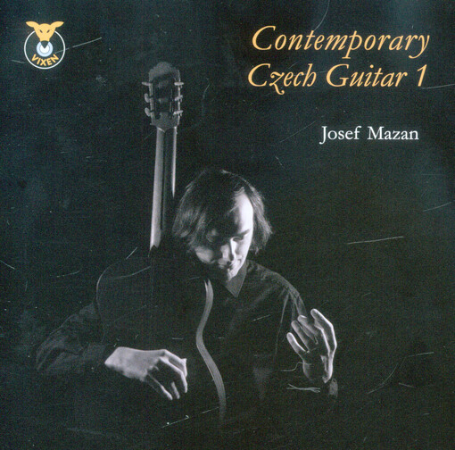Contemporary Czech guitar 1