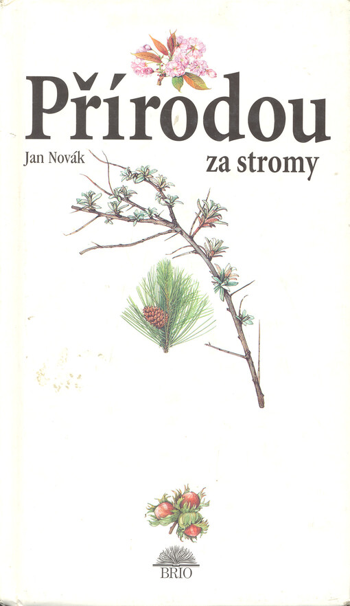 Přírodou za stromy