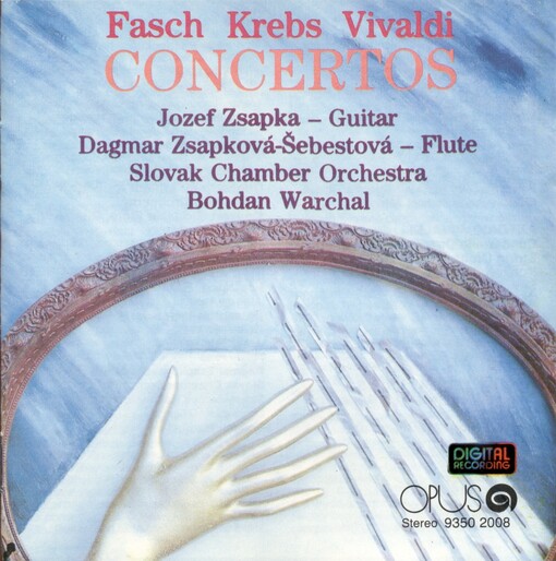 Concerto in D minor for guitar and string orchestra