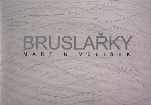 Bruslařky = Skaters