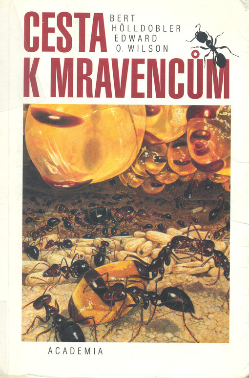 Cesta k mravencům.