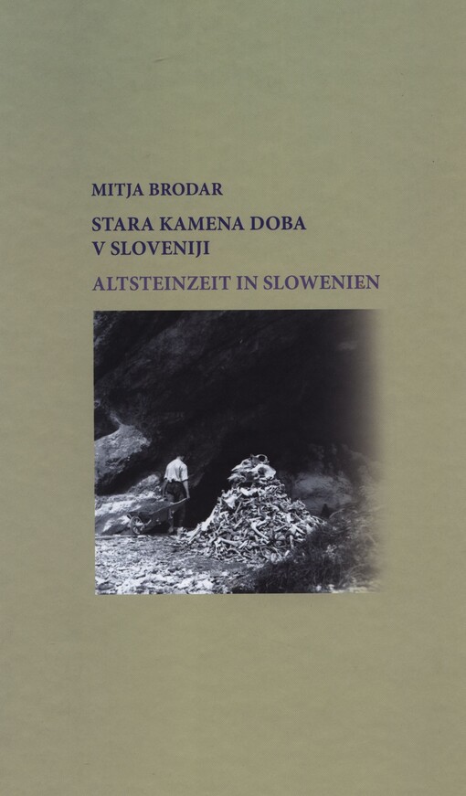 Stara kamena doba v Sloveniji