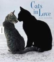 Cats in love