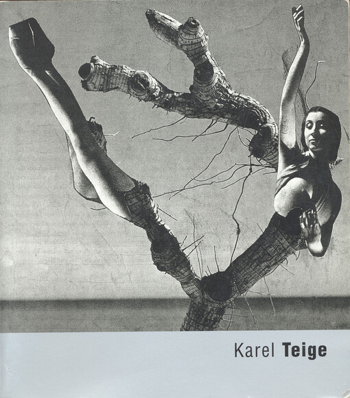 Karel Teige