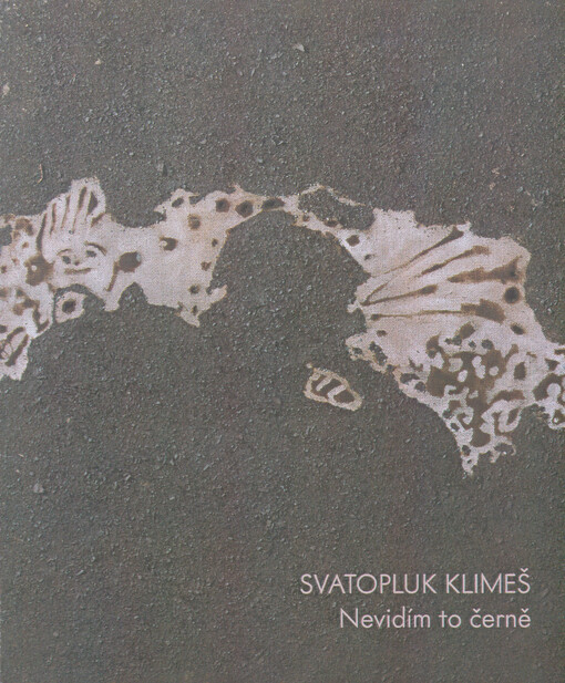 Svatopluk Klimeš : nevidím to černě