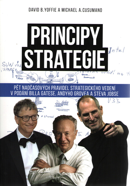 Principy strategie